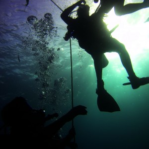 cancun diving