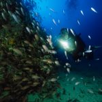 Dive-in-the-Beauty-of-Cancun2