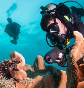 Cancun Diving Two Tank