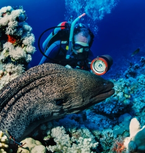 Scuba Diving Cancun Video Service