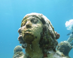 Cancun Diving