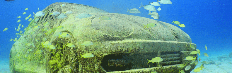 MUSA scuba diving cancun