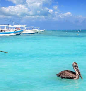 Puerto Morelos Diving