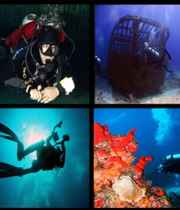 Cancun Diving Package 5