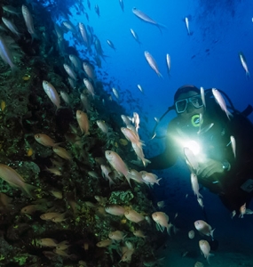 Scuba Diver Course